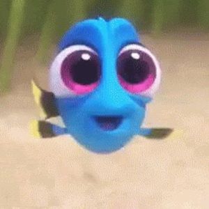 Meet your Posher, Erica